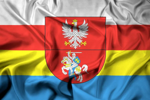 Kat, Polonya ile Podlaskie Voyvodalığı bayrağı sallayarak — Stok fotoğraf