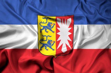 Kat, Almanya ile'nın kuzeyinde Schleswig-Holstein bayrağı sallayarak