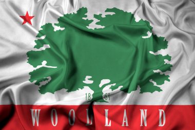 Woodland, Kaliforniya, ABD bayrağı sallayarak