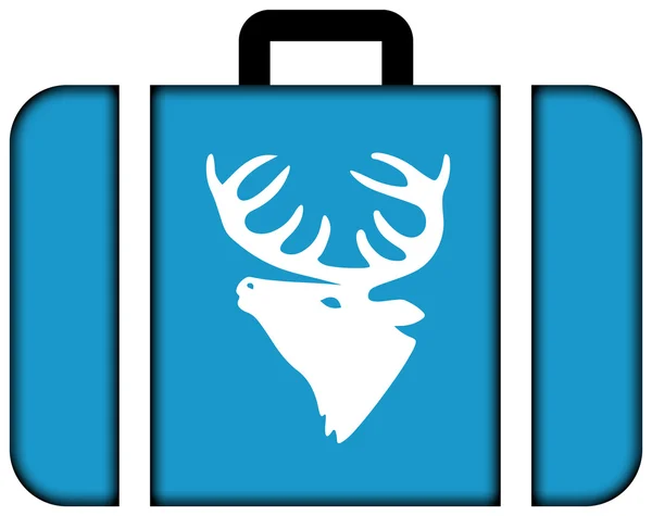 Vlag van Hitra, Noorwegen. Koffer-pictogram — Stockfoto