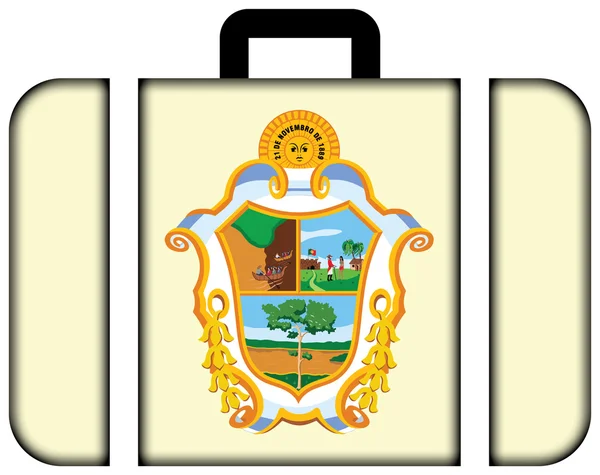 Bandera de Manaus, Amazonas, Brasil. Icono de la maleta —  Fotos de Stock