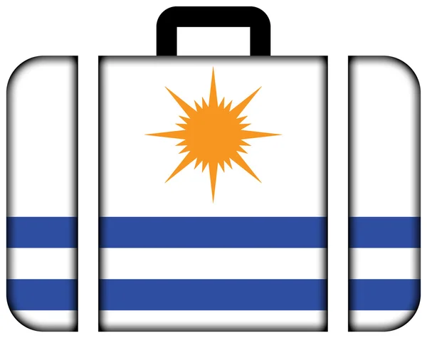 Vlag van Palmas, Tocantins, Brazil. Koffer-pictogram — Stockfoto