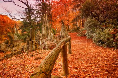 Kromlau, Saksonya, Almanya parkta. Harika, renkli sonbahar