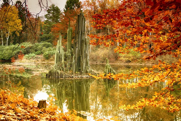 Park em Kromlau, Saxônia, Alemanha. Outono incrível, colorido — Fotografia de Stock