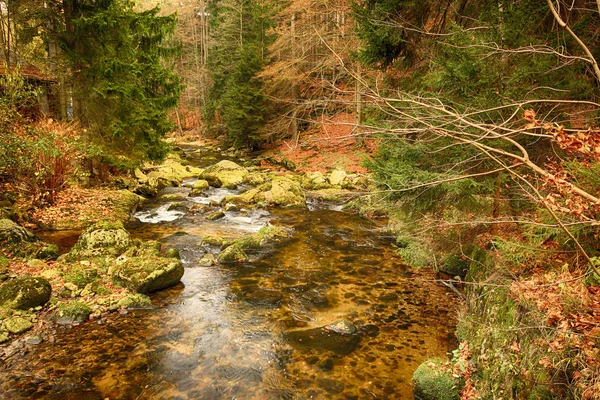 Національний парк Карконоскі, Щлярська Пореба, Польща — стокове фото