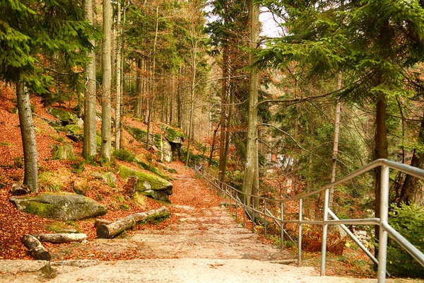 Karkonoski Ulusal Parkı, Szklarska Poreba, Polonya — Stok fotoğraf