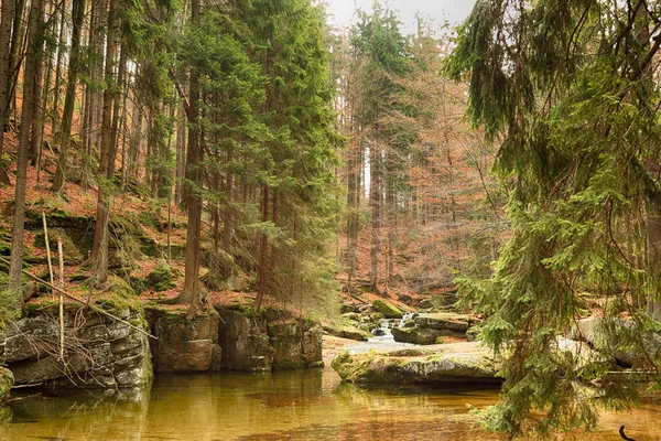 Національний парк Карконоскі, Щлярська Пореба, Польща — стокове фото