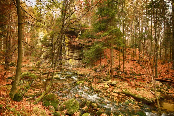 Karkonoski Ulusal Parkı, Szklarska Poreba, Polonya — Stok fotoğraf