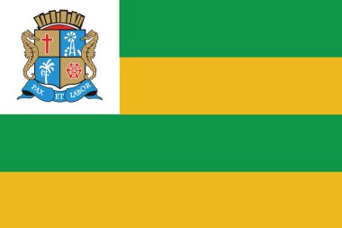 Aracaju Sergipe, Brezilya bayrağı. Vektör biçimi