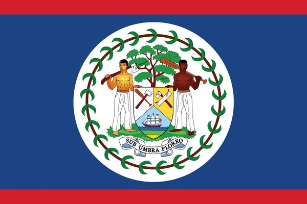 Belize flagga. Vektorformat — Stock vektor