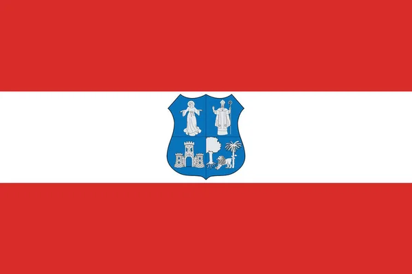 Bandeira de Assunção, Paraguai. Formato vetorial — Vetor de Stock
