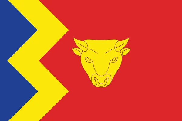 Flaga miasta Birmingham, Anglia. Formacie wektorowym — Wektor stockowy