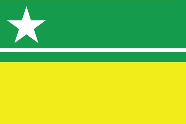 Bandeira de Boa Vista, Roraima, Brasil. Formato vetorial — Vetor de Stock