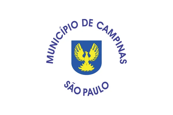 Bandera de Campinas, Sao Paulo, Brasil. Formato vectorial — Archivo Imágenes Vectoriales
