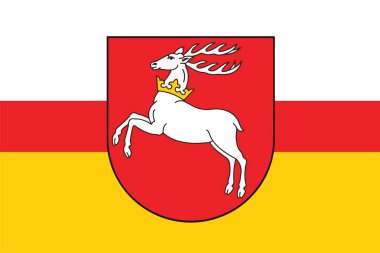 Lublin Voyvodalığı, Polonya bayrağı. Vektör biçimi