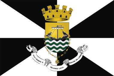 Kat, Portekiz ile bayrak Lizbon. Vektör biçimi