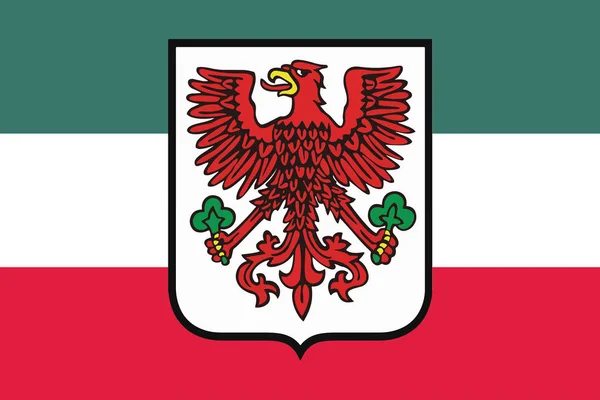 Флаг Горжова Велькопольского с гербом, Польша . — стоковый вектор