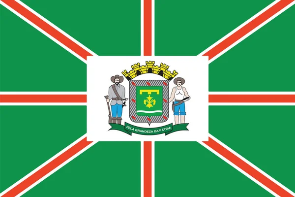 Drapeau de Goiania, État de Goias, Brésil. Format vectoriel — Image vectorielle