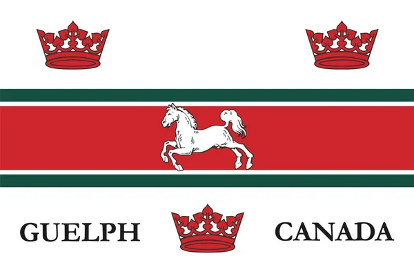 Flaggan i Guelph, Kanada. Vektorformat — Stock vektor
