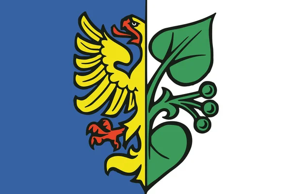 Flagge von Karvina, Tschechien. Vektorformat — Stockvektor