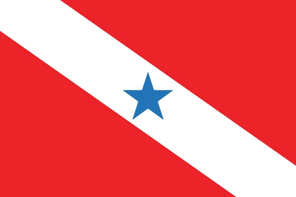 Vlajka státu Para, Brazílie. Vektorový formát — Stockový vektor