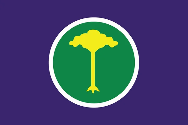 Vlag van Sao Carlos, Sao Paulo, Brazilië. Vector-formaat — Stockvector