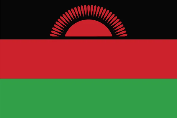 Bandiera del Malawi. Formato vettoriale — Vettoriale Stock