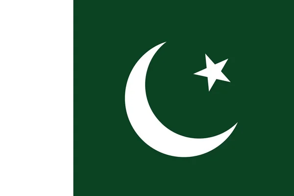 Bandera de Pakistán. Formato vectorial — Vector de stock