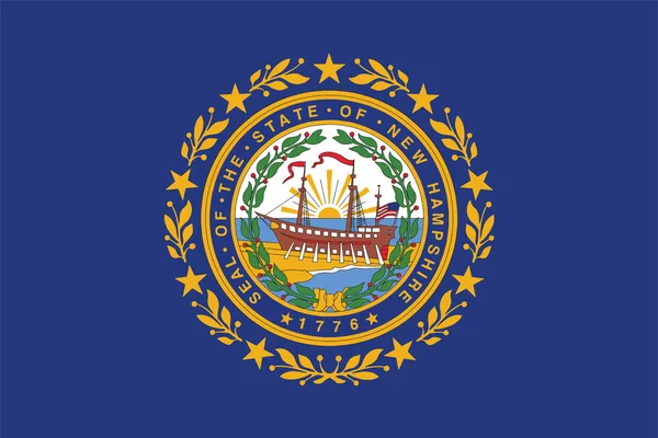 New Hampshire State Flag, EUA. Formato vetorial — Vetor de Stock