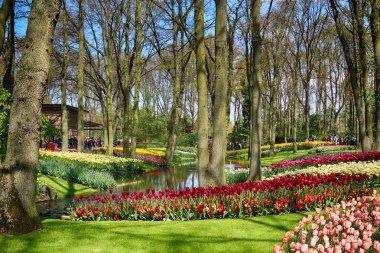 Keukenhof Bahçe, Lisse, Hollanda - 29 Nisan 2017: Dünyanın en büyük çiçek bahçeleri biridir. 7 milyonun üzerinde çiçek soğanı ve bir milyon ziyaretçi her yıl.