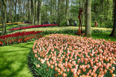 Keukenhof Bahçe, Lisse, Hollanda - 29 Nisan 2017: Dünyanın en büyük çiçek bahçeleri biridir. 7 milyonun üzerinde çiçek soğanı ve bir milyon ziyaretçi her yıl.