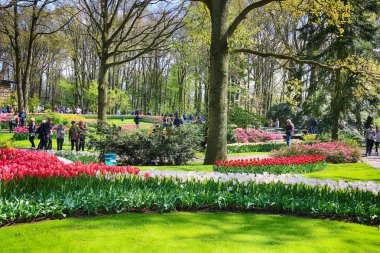 Keukenhof Bahçe, Lisse, Hollanda - 29 Nisan 2017: Dünyanın en büyük çiçek bahçeleri biridir. 7 milyonun üzerinde çiçek soğanı ve bir milyon ziyaretçi her yıl.