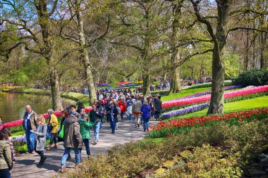 Keukenhof Bahçe, Lisse, Hollanda - 29 Nisan 2017: Dünyanın en büyük çiçek bahçeleri biridir. 7 milyonun üzerinde çiçek soğanı ve bir milyon ziyaretçi her yıl.