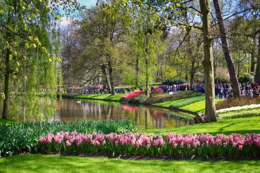 Keukenhof Bahçe, Lisse, Hollanda - 29 Nisan 2017: Dünyanın en büyük çiçek bahçeleri biridir. 7 milyonun üzerinde çiçek soğanı ve bir milyon ziyaretçi her yıl.