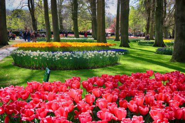 Keukenhof Bahçe, Lisse, Hollanda - 29 Nisan 2017: Dünyanın en büyük çiçek bahçeleri biridir. 7 milyonun üzerinde çiçek soğanı ve bir milyon ziyaretçi her yıl.
