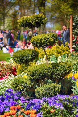 Keukenhof Bahçe, Lisse, Hollanda - 29 Nisan 2017: Dünyanın en büyük çiçek bahçeleri biridir. 7 milyonun üzerinde çiçek soğanı ve bir milyon ziyaretçi her yıl.