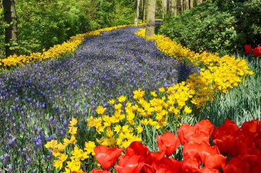 Keukenhof Bahçe, Lisse, Hollanda - 29 Nisan 2017: Dünyanın en büyük çiçek bahçeleri biridir. 7 milyonun üzerinde çiçek soğanı ve bir milyon ziyaretçi her yıl.