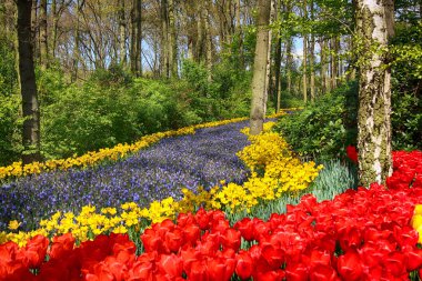 Keukenhof Bahçe, Lisse, Hollanda - 29 Nisan 2017: Dünyanın en büyük çiçek bahçeleri biridir. 7 milyonun üzerinde çiçek soğanı ve bir milyon ziyaretçi her yıl.