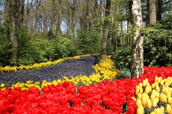 KEUKENHOF GARDEN, LISSE, PAÍSES BAIXOS - ABR 29, 2017: É um dos maiores jardins florais do mundo. Mais de 7 milhões de bulbos de flores e um milhão de visitantes todos os anos . — Fotografia de Stock