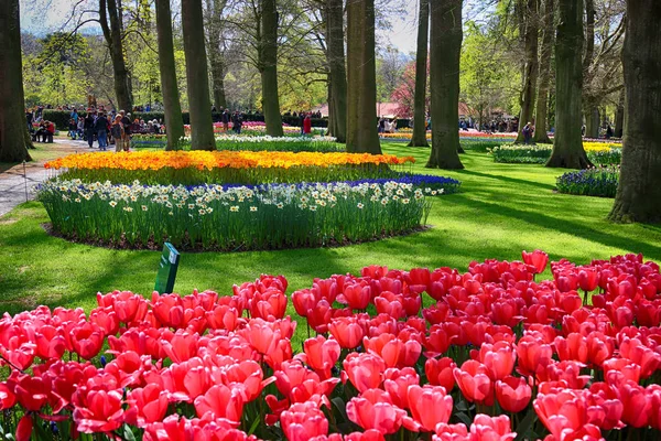 KEUKENHOF GARDEN, LISSE, PAÍSES BAIXOS - ABR 29, 2017: É um dos maiores jardins florais do mundo. Mais de 7 milhões de bulbos de flores e um milhão de visitantes todos os anos . — Fotografia de Stock