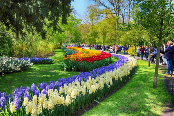 Keukenhof Bahçe, Lisse, Hollanda - 29 Nisan 2017: Dünyanın en büyük çiçek bahçeleri biridir. 7 milyonun üzerinde çiçek soğanı ve bir milyon ziyaretçi her yıl.