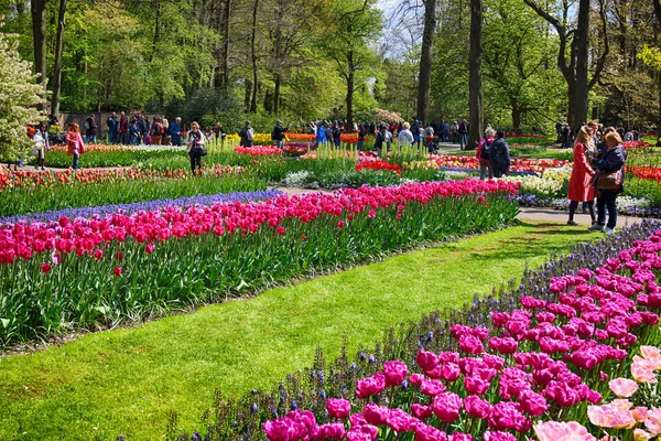 Keukenhof Bahçe, Lisse, Hollanda - 29 Nisan 2017: Dünyanın en büyük çiçek bahçeleri biridir. 7 milyonun üzerinde çiçek soğanı ve bir milyon ziyaretçi her yıl.