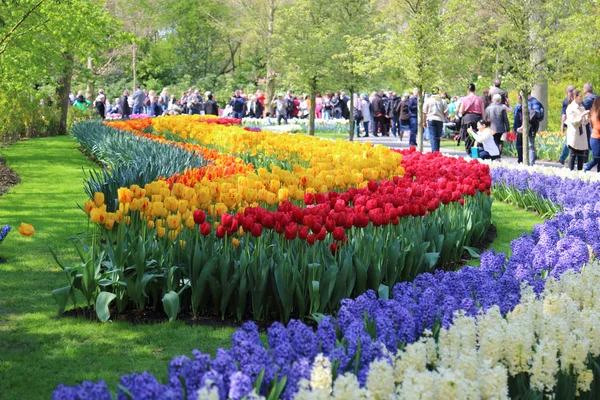 Keukenhof Bahçe, Lisse, Hollanda - 29 Nisan 2017: Dünyanın en büyük çiçek bahçeleri biridir. 7 milyonun üzerinde çiçek soğanı ve bir milyon ziyaretçi her yıl.
