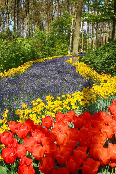 KEUKENHOF GARDEN, LISSE, PAÍSES BAIXOS - ABR 29, 2017: É um dos maiores jardins florais do mundo. Mais de 7 milhões de bulbos de flores e um milhão de visitantes todos os anos . — Fotografia de Stock