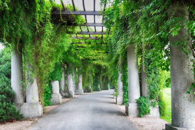Wroclaw, Polonya - 04 Ağustos 2017: Pergola, yarı bir elips şeklinde 1913 yılında Centennial salonu sergi alanlarına ayrılmaz bir parçası olarak inşa bir 640 metre uzun yapısı.