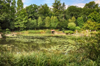 Wroclaw, Polonya - 04 Ağustos 2017: Japon bahçe tarihsel Pergola ve Centennial salonu çevresinde yer almaktadır. Bir kaç iz Dünya Fuarı'nda 1913 sonra temsil ettiği.
