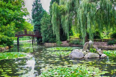 Wroclaw, Polonya - 04 Ağustos 2017: Japon bahçe tarihsel Pergola ve Centennial salonu çevresinde yer almaktadır. Bir kaç iz Dünya Fuarı'nda 1913 sonra temsil ettiği.