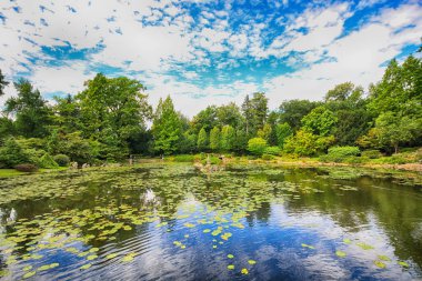 Wroclaw, Polonya - 04 Ağustos 2017: Japon bahçe tarihsel Pergola ve Centennial salonu çevresinde yer almaktadır. Bir kaç iz Dünya Fuarı'nda 1913 sonra temsil ettiği.