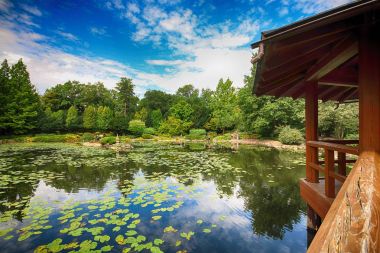 Wroclaw, Polonya - 04 Ağustos 2017: Japon bahçe tarihsel Pergola ve Centennial salonu çevresinde yer almaktadır. Bir kaç iz Dünya Fuarı'nda 1913 sonra temsil ettiği.