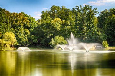 Wroclaw, Polonya - 07 Ağustos 2017: Wroclaw South Park'ta şehrin güneyinde yoktan 1877 yılında yaptırılmıştır. Hugo Richter ve Ferdinand Cohn çayırlar ve büyük bir su birikintisi bir park yaratmıştı.